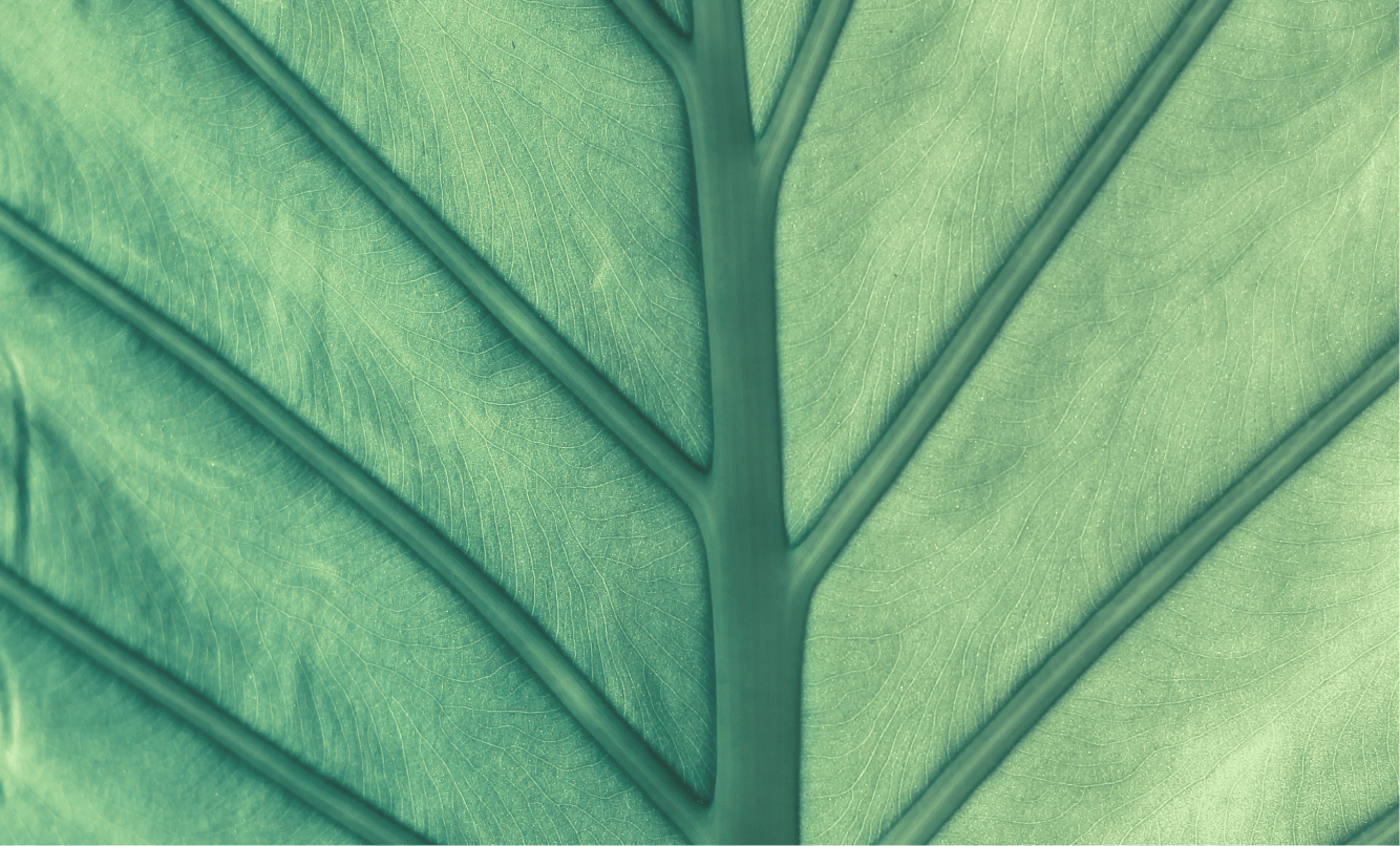 Изображение Доказательства  эффективности и безопасности 